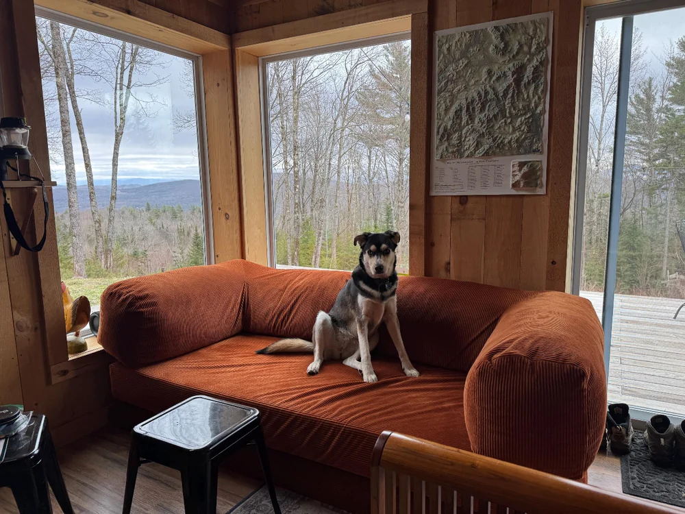 Диваны Тедди в интерьере покупателя, фото 66